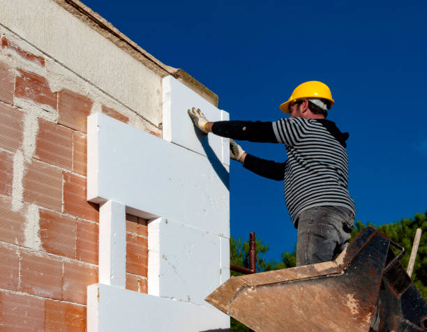 Best Local Insulation Services  in Alsip, IL